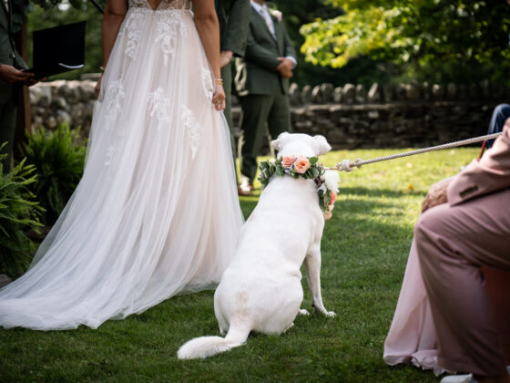 large white dog wearing a flower crown is on a leash standing next to bride during outdoor ceremony